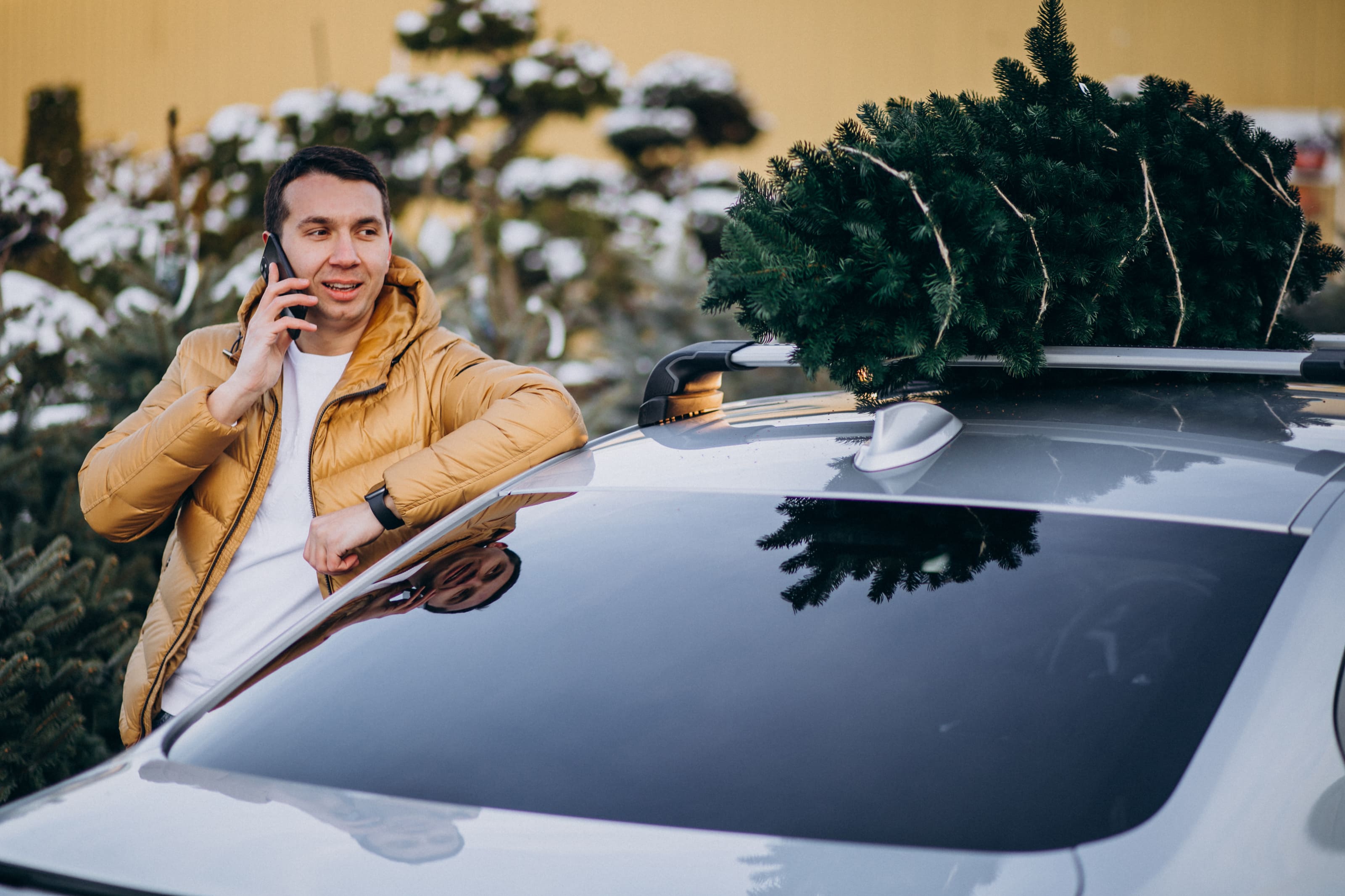 Mobile Auto Glass Services